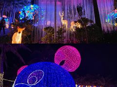 -欢乐海岸椰林沙滩-2025湾区超级灯会
