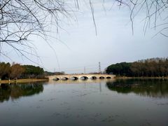 -昆山城市生态森林公园