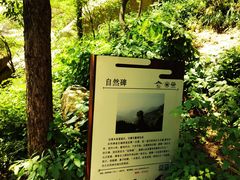 -崂山巨峰游览区