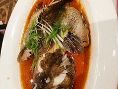 清蒸沙巴龙趸-稻香酒家(天河城店)