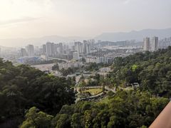 -金鸡山公园