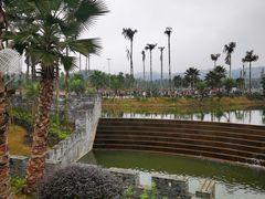 -枫香湖儿童公园