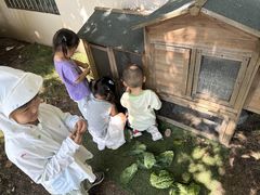 -蒙蒙狮蒙台梭利儿童之家