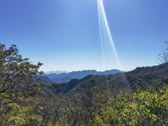 -大岭沟猕猴桃谷风景区