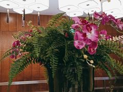 -国人川菜(李家村建东街店)