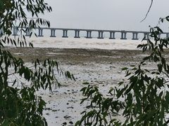 -宝安西湾红树林湿地公园