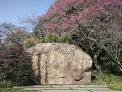 -中国茶叶博物馆(双峰馆区)