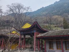-华清宫景区