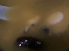 花胶鸡汤锅底-湊湊火锅·茶憩(新中关购物中心店)
