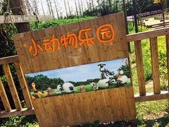-前小桔亲子创意农场·草莓采摘·露营烧烤