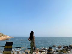 -广东惠东海龟国家级自然保护区