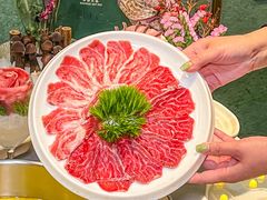 -喜聚薈·花膠雞海鮮火鍋(越秀店)