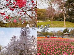 -无锡梅园公园