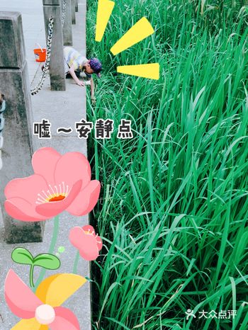 出来的不多啊。晚上去，凉快，自带照明设备
