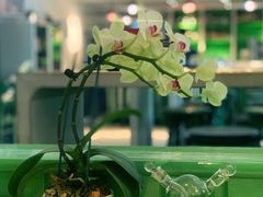-Carmen卡门西班牙餐厅