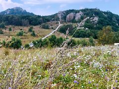 -白草畔自然风景区