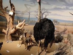 -陕西自然博物馆