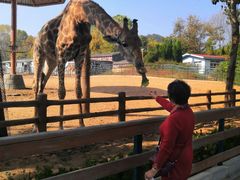 -大连森林动物园