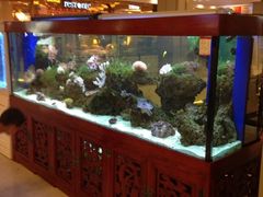 -红星美凯龙(上海沪南店)