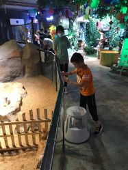 -酷嗒动物文化乐园(cutezoo西溪乐天城店)