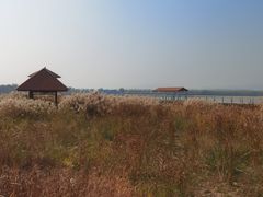 -青龙湖公园