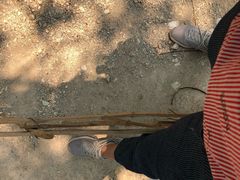 -瑞丽独树成林风景区