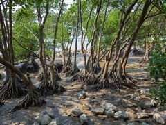 -深圳湾公园(南山区)