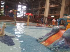 -南宫温泉水世界