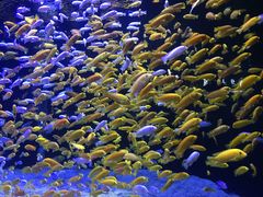 -成都浩海立方海洋公园