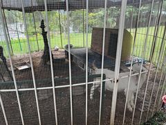 -福建鲤鱼洲酒店