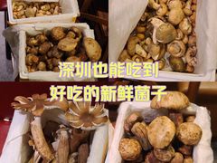 -缘生态云南菜·野生菌庭院餐厅(华侨城店)