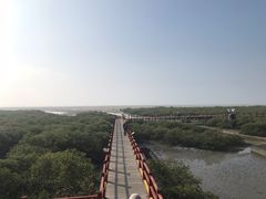 -北海金海湾红树林生态旅游区