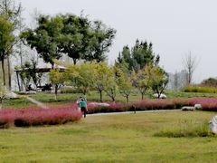 -汉长安城未央宫国家考古遗址公园