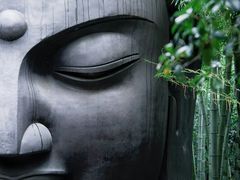 -杭州植物园