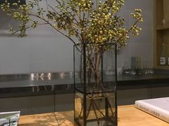 -柴务处·柴犬主题狗咖