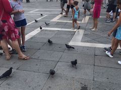 -圣马尔谷圣殿宗主教座堂