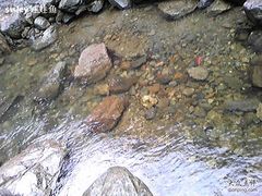 -宁波五龙潭景区