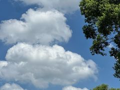 -昆山城市生态森林公园