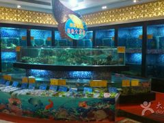 水产区-顺峰海鲜酒楼(省府店)