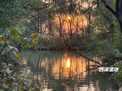 -西溪国家湿地公园