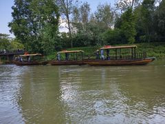 -溱湖国家湿地公园