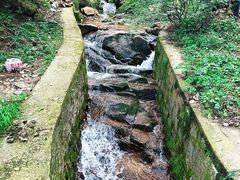 -鲁山国家森林公园