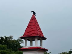 -济州森林小火车生态公园
