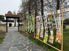 -同里国家湿地公园