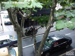 从我们坐的阳台拍下去-Pasha帕夏土耳其餐厅(南昌路店)