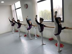 -西安小天鹅艺术团(金花路校区)