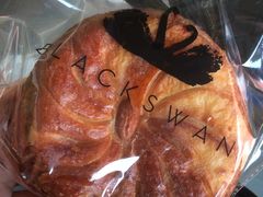 -BLACKSWAN黑天鹅(环球店)