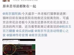 盛京一禾-盛京一禾