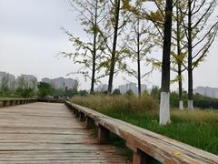 -汉长安城未央宫国家考古遗址公园