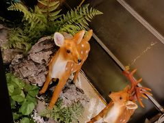 -肖记公安牛肉鱼杂馆· 省级非物质文化遗产(仁和路店)